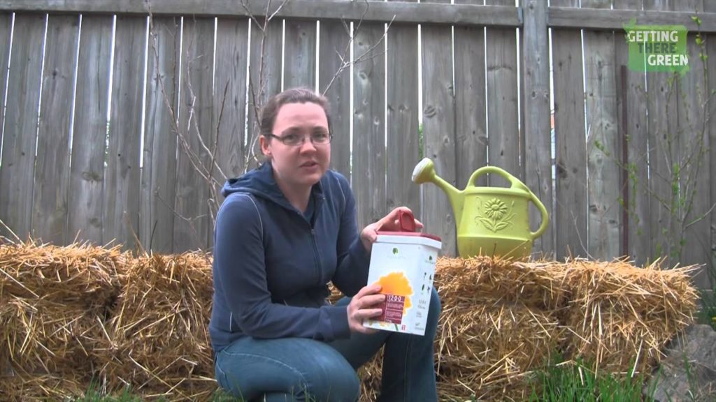 Straw Bale Gardening Start to Finish - Conditioning/Curing your Straw Bale