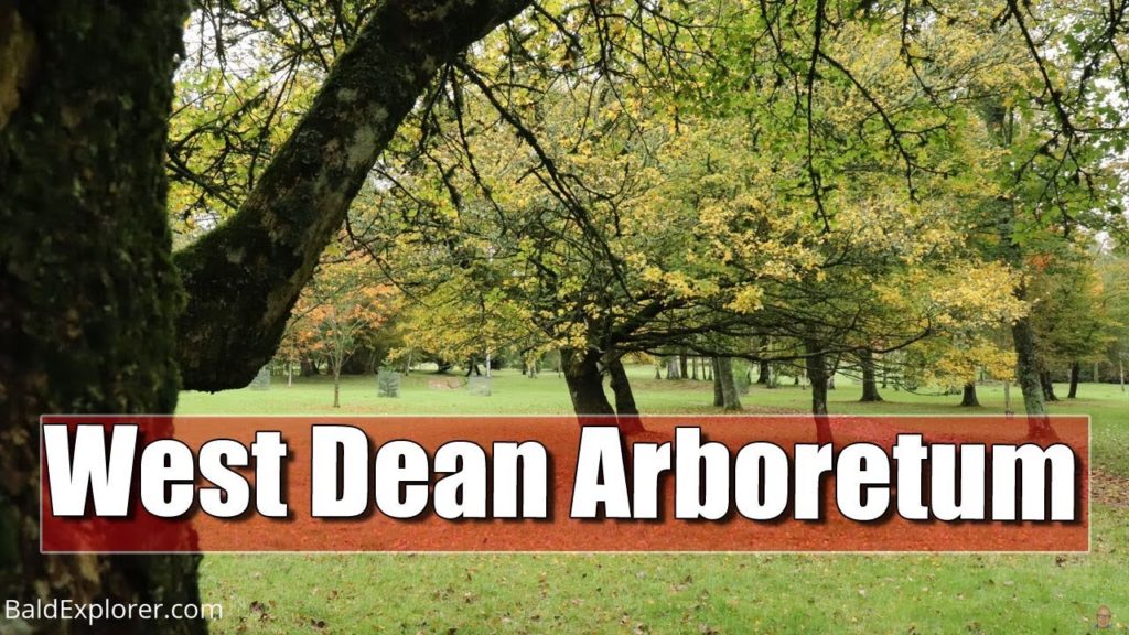 West Dean Arboretum with Tom Brown, Head Gardener