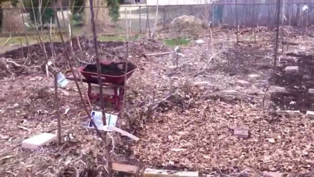 It Has Begun! Sowing for Spring, New Mulch Method