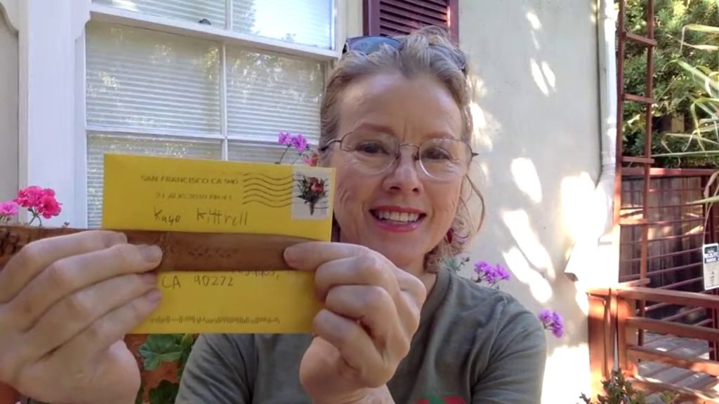 August 25th Livestream, Moringa, Luffa, Cucumbers, News!