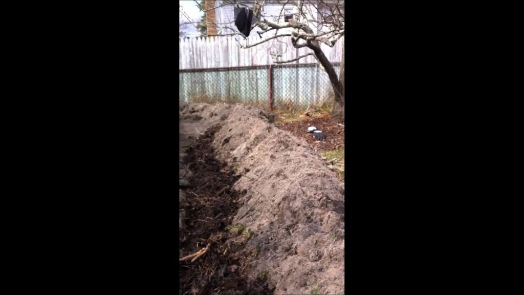 Garden update, Hugelkultur 2