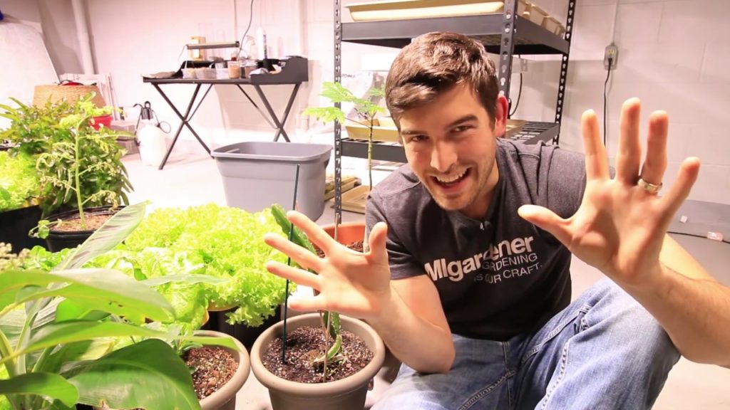 How to Grow Dragonfruit in Containers - Complete Growing Guide