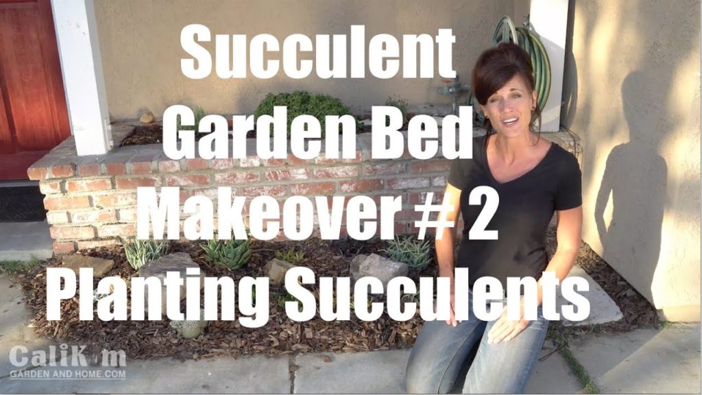 CaliKim: Succulent Garden Bed Makeover #2 – Planting Succulents in the Front Yard Succulent Garden Bed Makeover #2 - Planting Succulents in the Front Yard