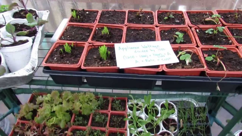 Gary Pilarchik: Basic Use of a Small Heater in a Garden Greenhouse and Usage Cost: Tips! – The Rusted Garden 2014 Basic Use of a Small Heater in a Garden Greenhouse and Usage Cost: Tips! - The Rusted Garden 2014