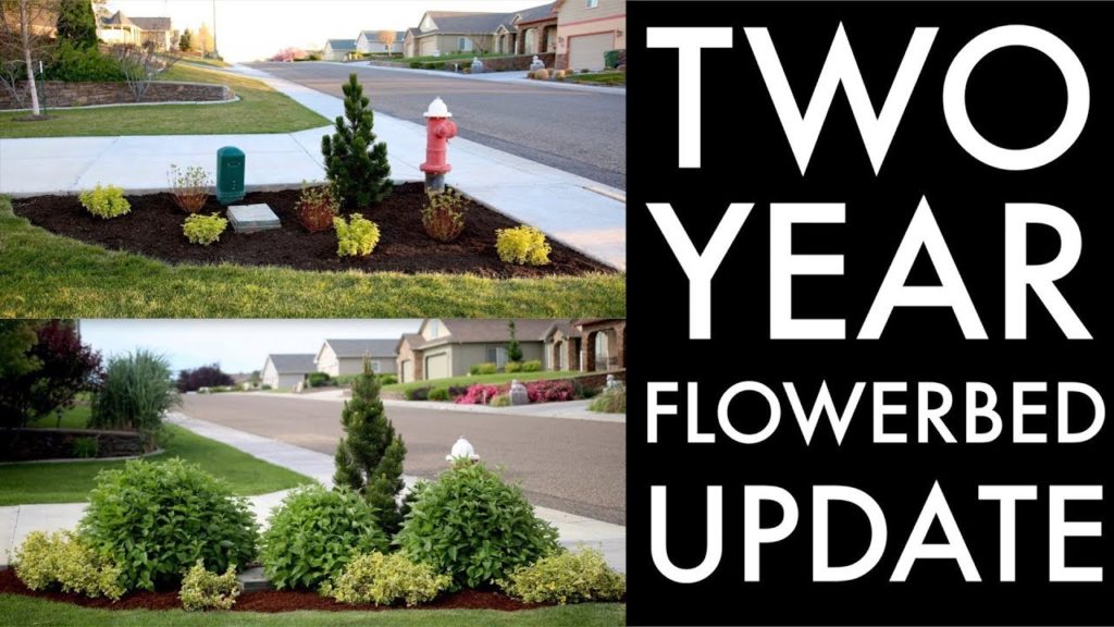 Garden Answer: Flowerbed Update at my In-Laws 🌿 // Garden Answer Flowerbed Update at my In-Laws 🌿 // Garden Answer