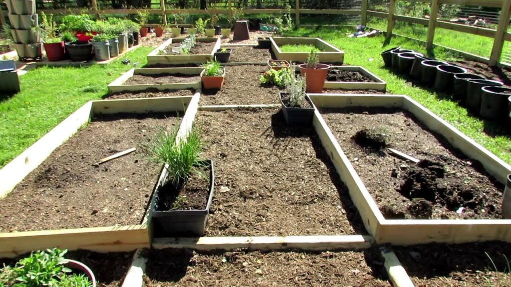 Gary Pilarchik: Tour 6 2019: TRG Homestead – Vegetables are Planted & A Sunken Container Garden – Space Saver! Tour 6 2019: TRG Homestead - Vegetables are Planted & A Sunken Container Garden - Space Saver!