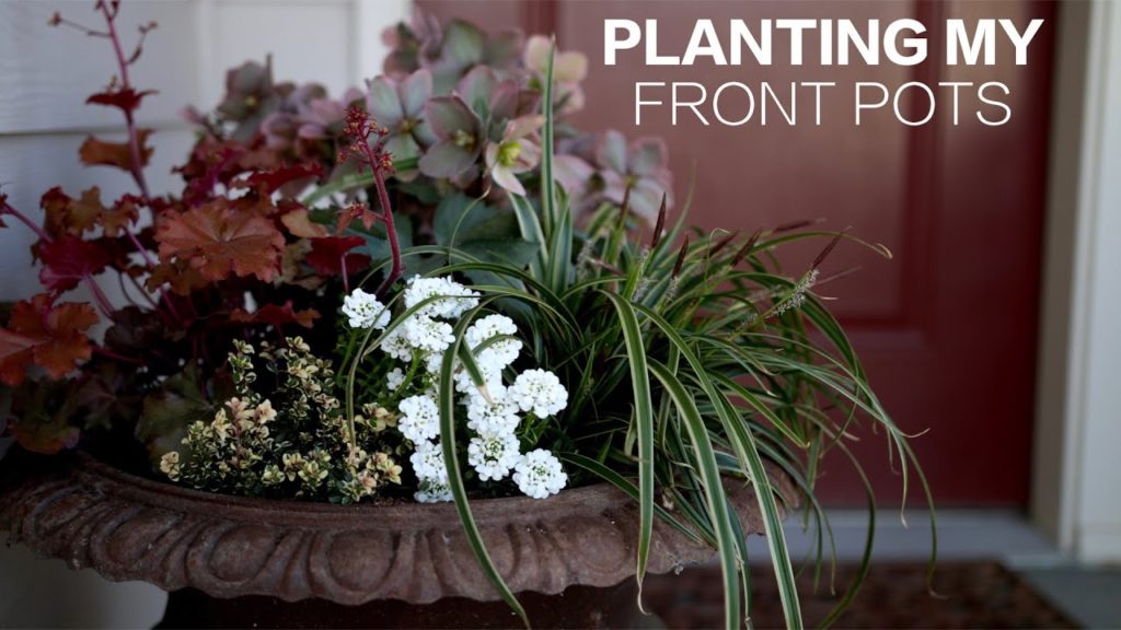Planting My Front Pots