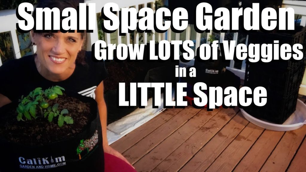 Planning a Small Space Garden, Containers, Soil, Veggies//Small Space Garden Series #1