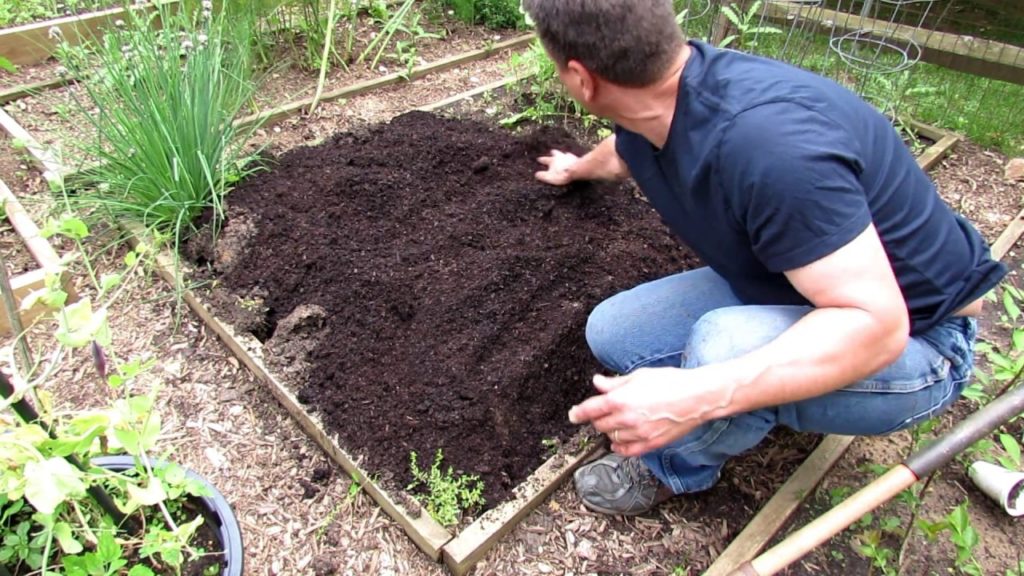 A Complete Guide to Digging & Planting Your First Vegetable Garden: Tomatoes, Peppers & Herbs