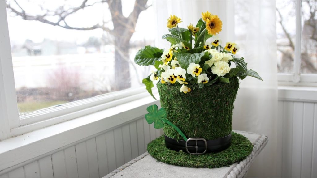 Garden Answer: Happy St. Patrick's Day! ๐๐// Garden Answer Happy St. Patrick's Day! ๐๐// Garden Answer