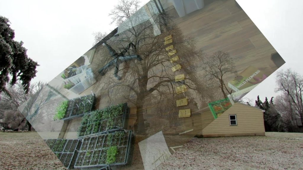 Gary Pilarchik: Tour 1 2019: TRG Homestead – Pepper Starts, Ice Storm, Fruit Canes & Vines, Cheap Garden Books Tour 1 2019: TRG Homestead - Pepper Starts, Ice Storm, Fruit Canes & Vines, Cheap Garden Books