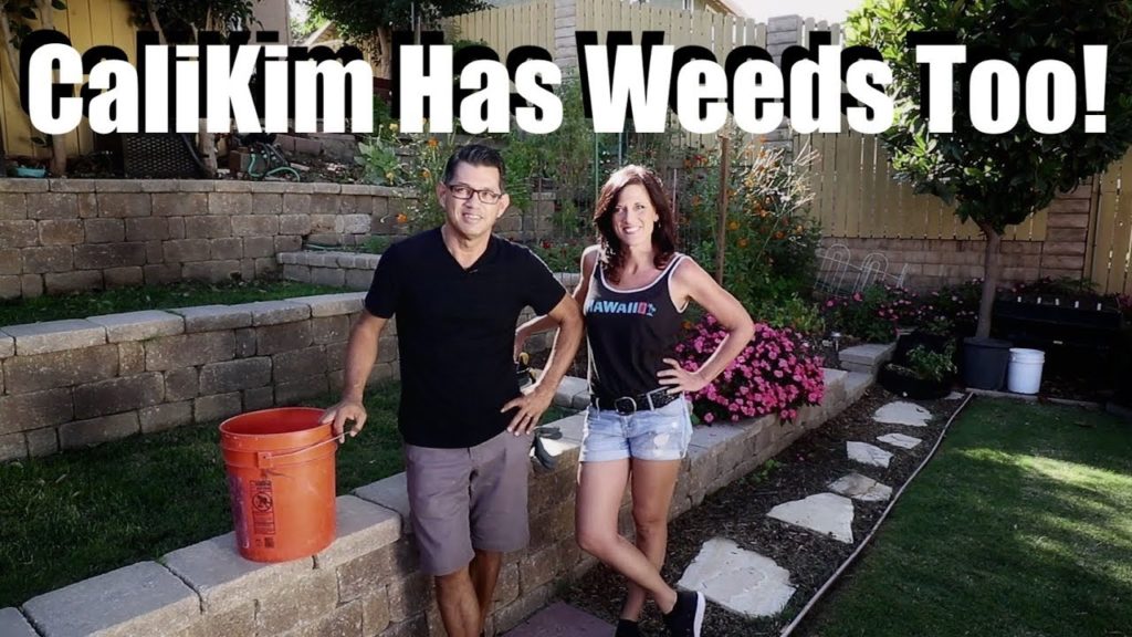 CaliKim: CaliKim has Weeds Too! // Beyond the Garden #2 CaliKim has Weeds Too! // Beyond the Garden #2