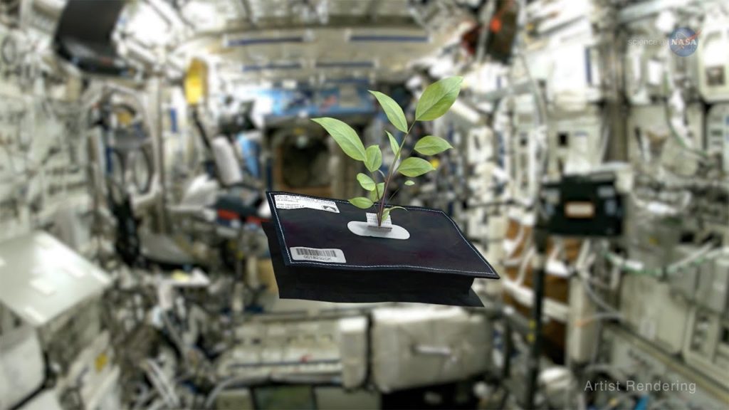 ScienceCasts: Space Gardening