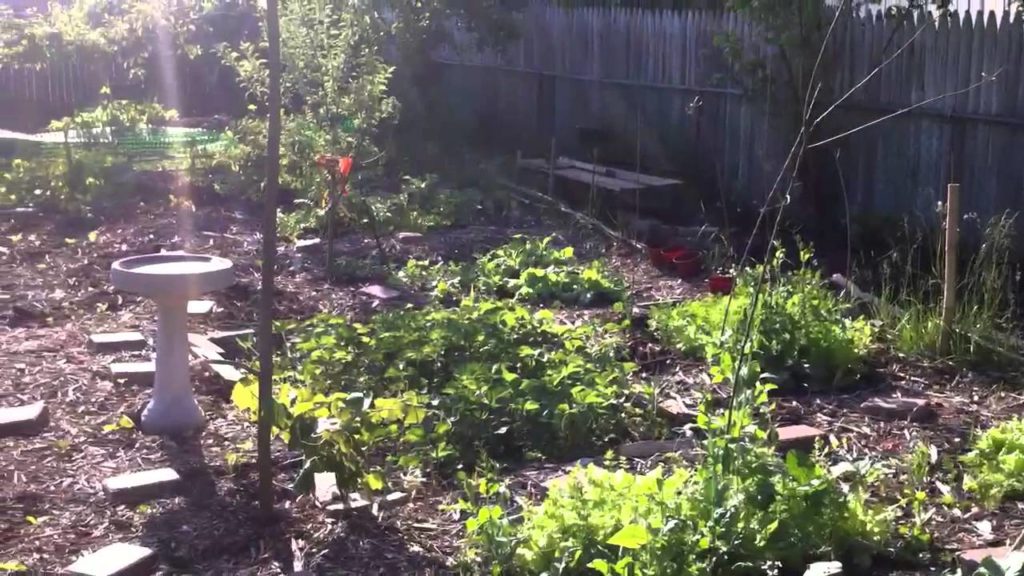 Gardening, Anyone can do this