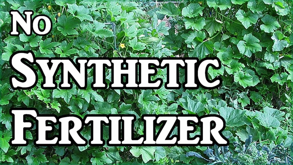 Why We Don't Use Synthetic Fertilizers