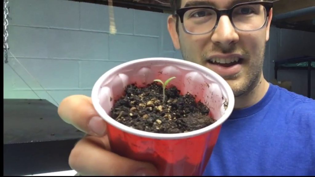 MIgardener: 87 year old sprouts!!!!! 87 year old sprouts!!!!!