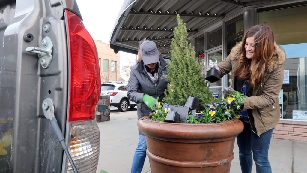 Planting Pansies with My Mom // Garden Answer