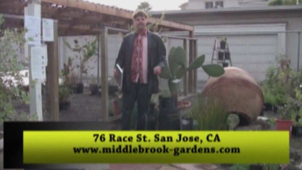 Gardening Rhythms: Middlebrook Gardens in San Jose, CA