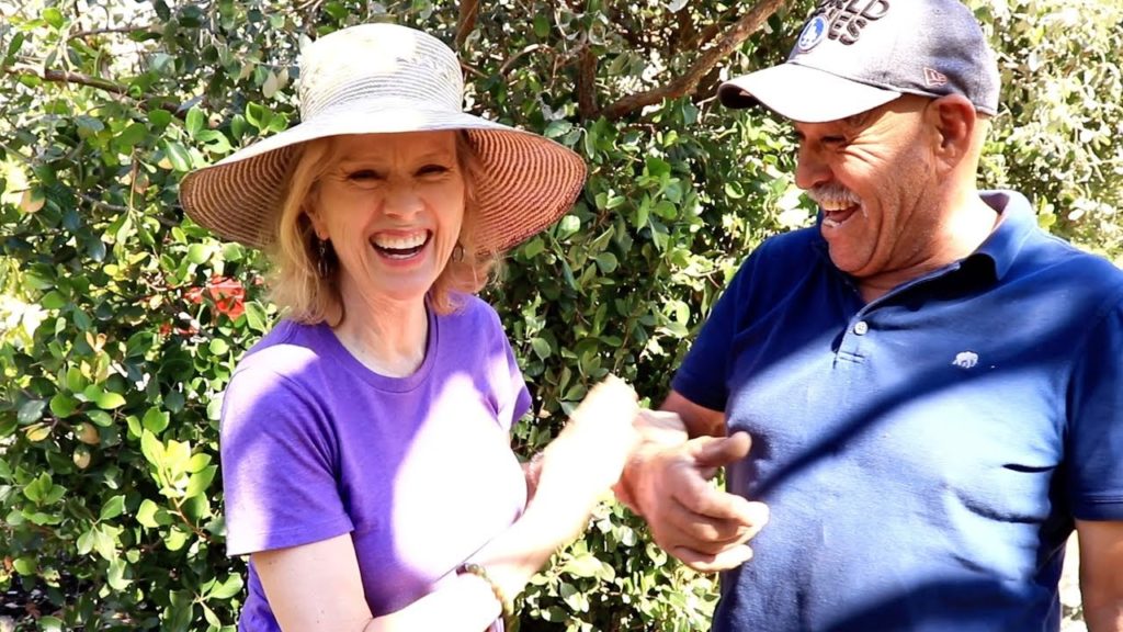 DON'T do THIS when Pruning Fruit Trees | Garden Transformation Part 6