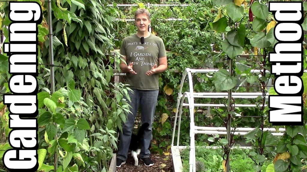 One Yard Revolution: My Gardening Method (and the 5 Goals that Shape It) My Gardening Method (and the 5 Goals that Shape It)