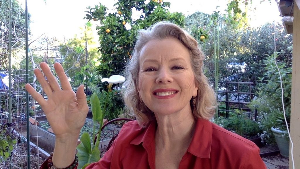 End of March Livestream! | News, Travel, Urban Garden