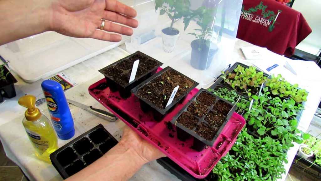 Gary Pilarchik: How to Build Vegetable Winter-Sowing & Acclimation Domes: DIY Ep-1 How to Build Vegetable Winter-Sowing & Acclimation Domes: DIY Ep-1