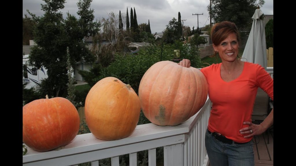 How to Roast Pumpkin Seeds - 3 Ways and Time Saving Tip