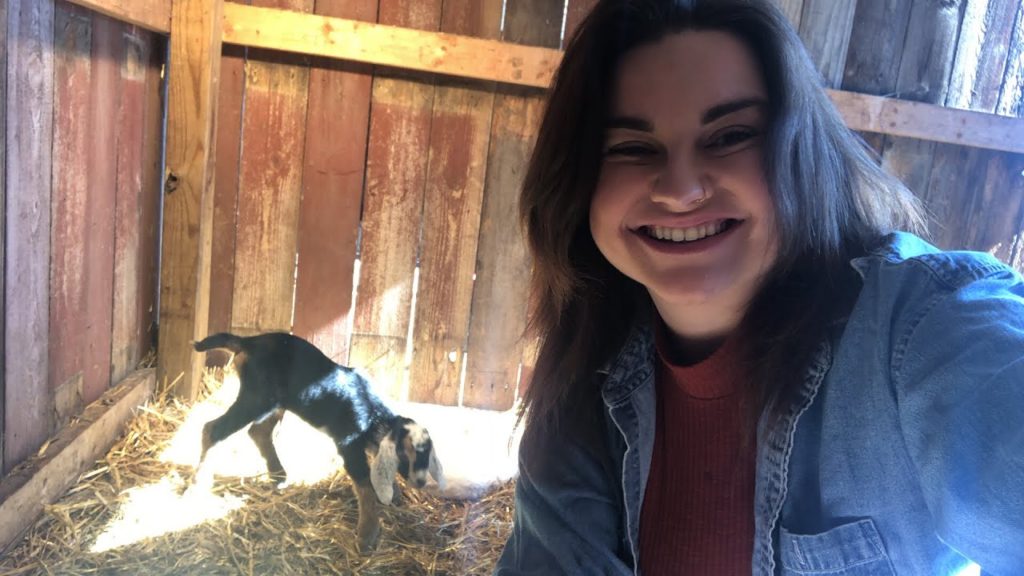 New Babies on the Farm! | LIVE with Roots and Refuge