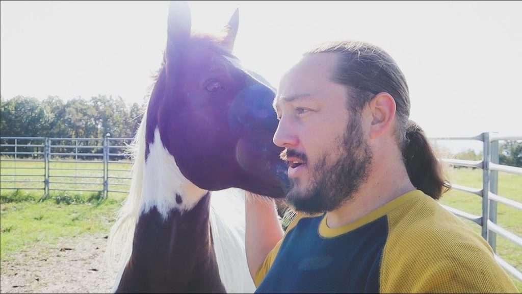 Family Farm Walk (Animal Check-In)  | VLOG | Roots and Refuge Farm
