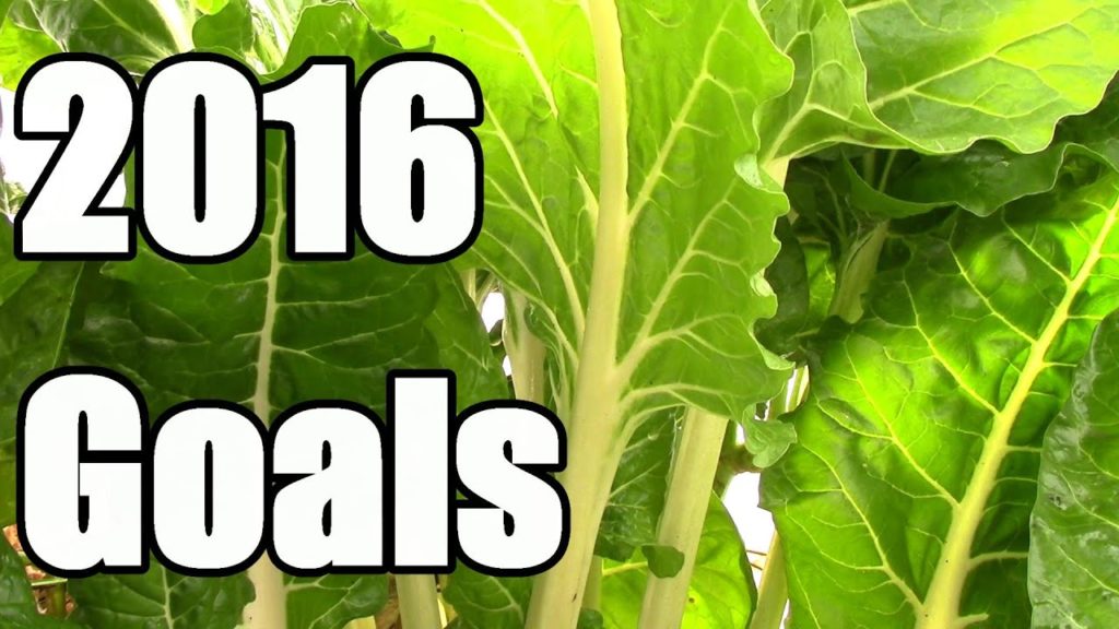 One Yard Revolution: Top Five 2016 Gardening Goals: Grow More, Work Less, Spend Less, Learn More, Have More Fun Top Five 2016 Gardening Goals: Grow More, Work Less, Spend Less, Learn More, Have More Fun