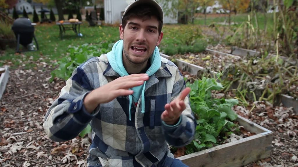 The 5 Pillars of Perfect and Healthy Soil