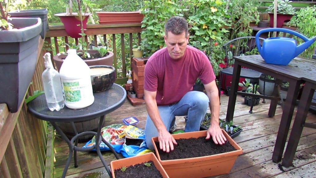 Gary Pilarchik: A Mindful Approach for Starting a Wellness Vegetable Garden: Making Small Changes to Your Routine A Mindful Approach for Starting a Wellness Vegetable Garden: Making Small Changes to Your Routine