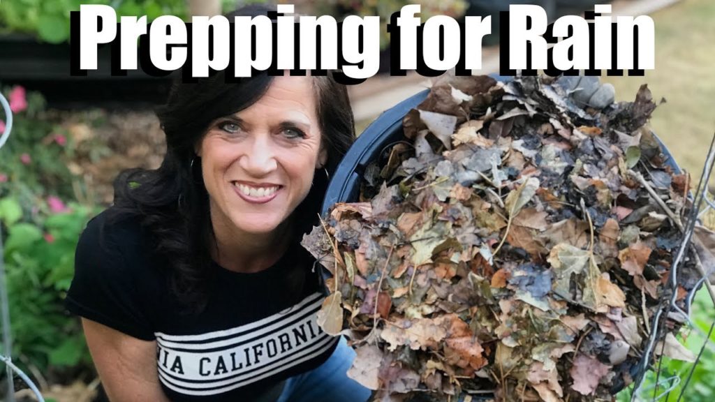 How to Prepare a Garden for LOTS of Rain