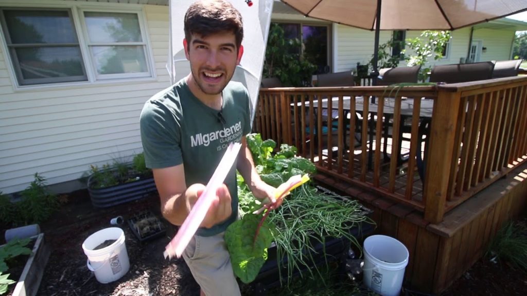 This Vegetable Makes You Feel Like a KID Again!