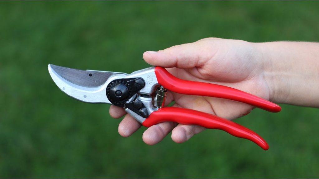 Felco Pruners Review