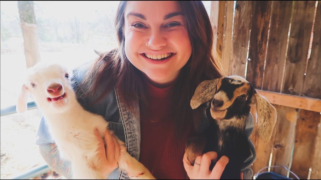 I Thought This Newborn Goat Was Dead | A Birth-Filled Weekend | VLOG | Roots and Refuge