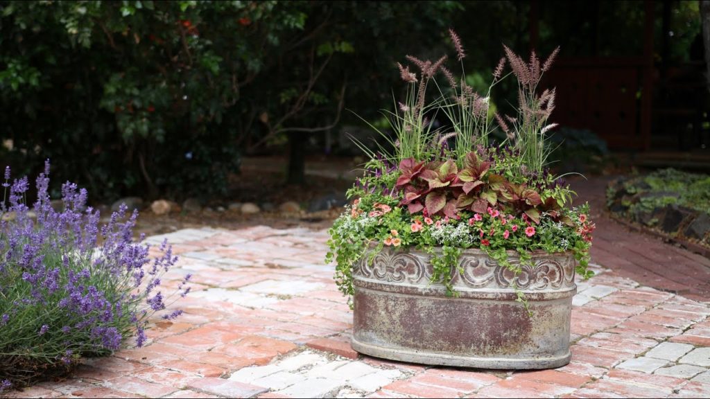 Garden Answer: Container for Green Profit Magazine // Garden Answer Container for Green Profit Magazine // Garden Answer