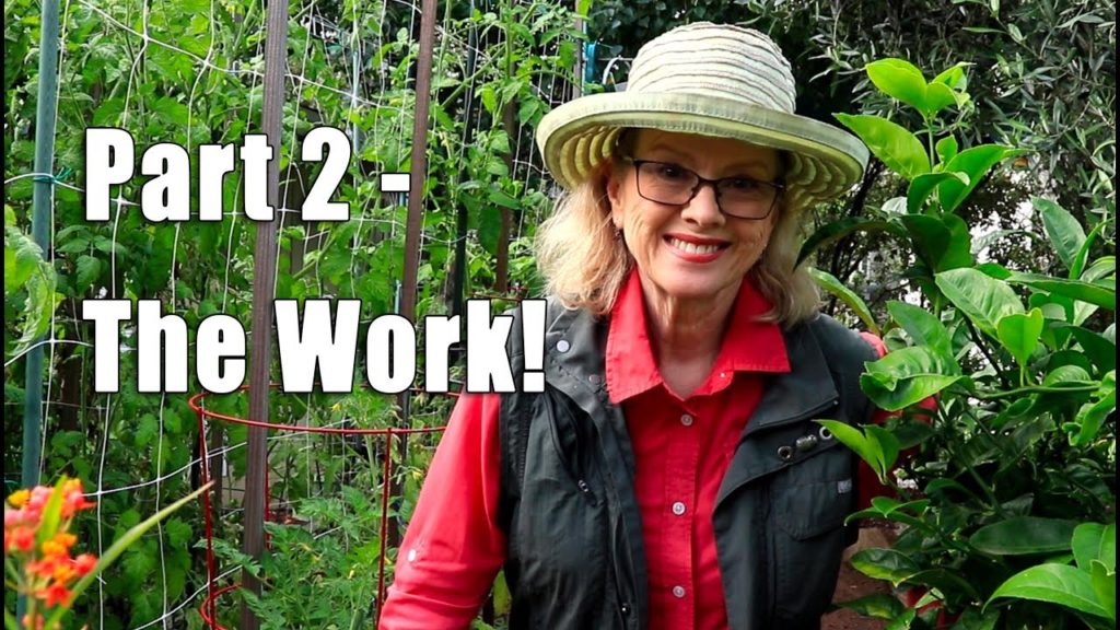 Recognize this CRITTER? | Update Part 2, Cleanup | Los Angeles