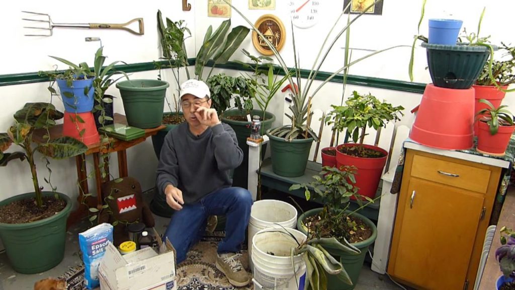 Dangers of Organic Gardening Dangers of Organic Gardening