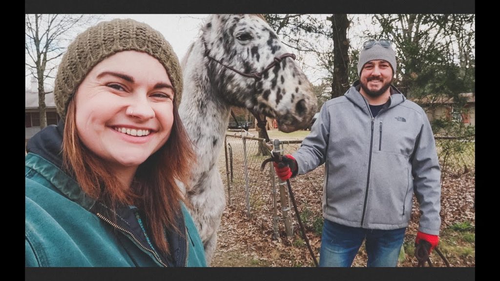 I've Waited Over a Year for THIS Moment | VLOG | Roots and Refuge