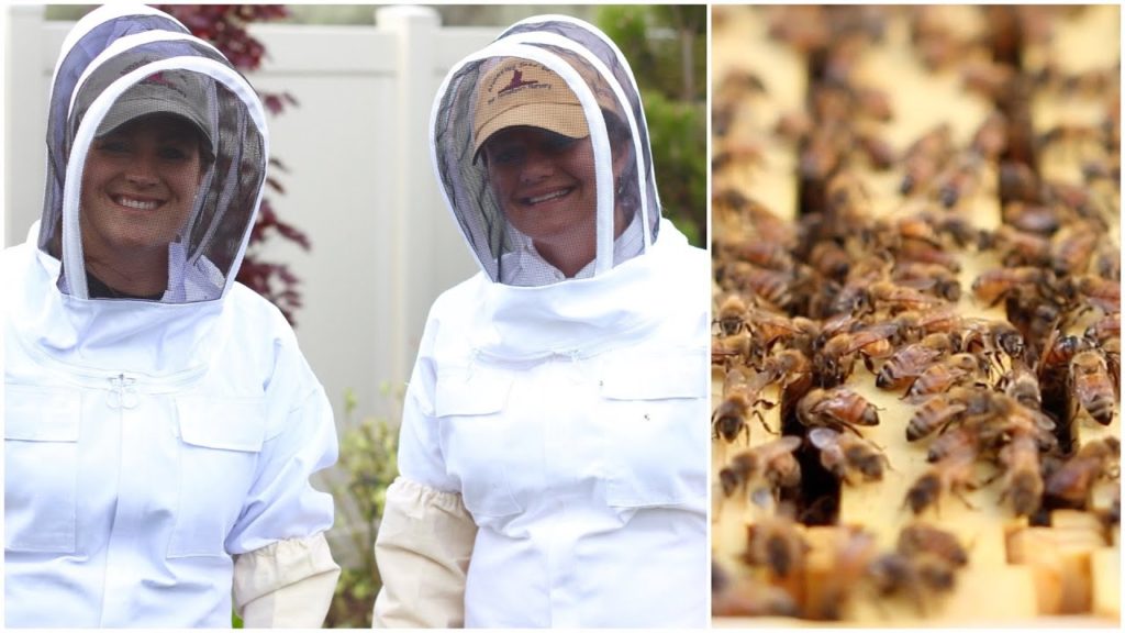 Backyard Beekeeping