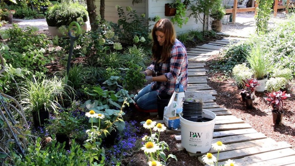 Garden Answer: Pallet Walkway Plant Tour 🌿// Garden Answer Pallet Walkway Plant Tour 🌿// Garden Answer