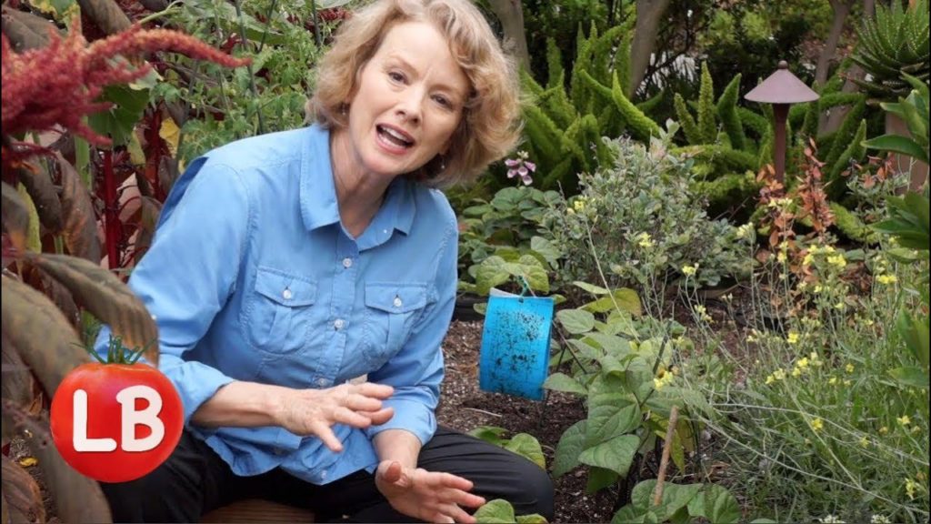 Kaye Kittrell: Summer Garden Part 1 | Late Bloomer | Episode 14 Summer Garden Part 1 | Late Bloomer | Episode 14