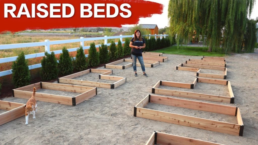 Setting up Raised Beds // Garden Answer