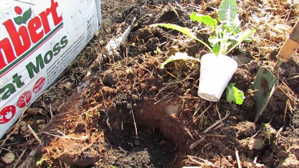 Gary Pilarchik: My Community Garden Plot Episode 2: Filling the Beds Cheaply, Planting and a New Gardener! My Community Garden Plot Episode 2: Filling the Beds Cheaply, Planting and a New Gardener!