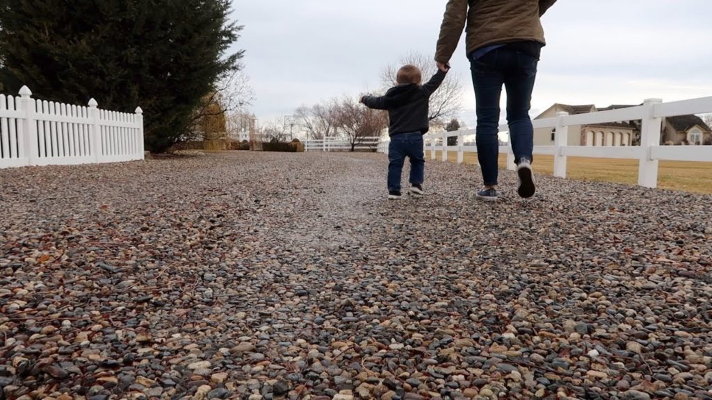 Hauling Wood + Root Cellar Tour! 🌲💪// Garden Answer