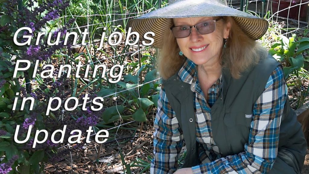 Thursday Workday | Planting, Update, Grunt Jobs | Vlog