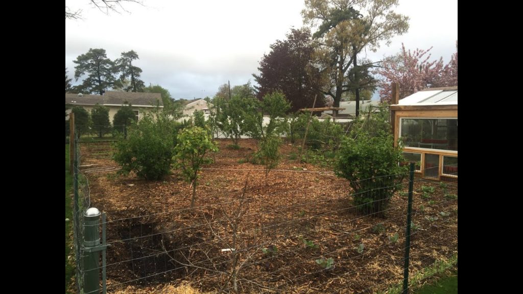 James Prigioni: Food Forest Early Spring Food Forest Early Spring