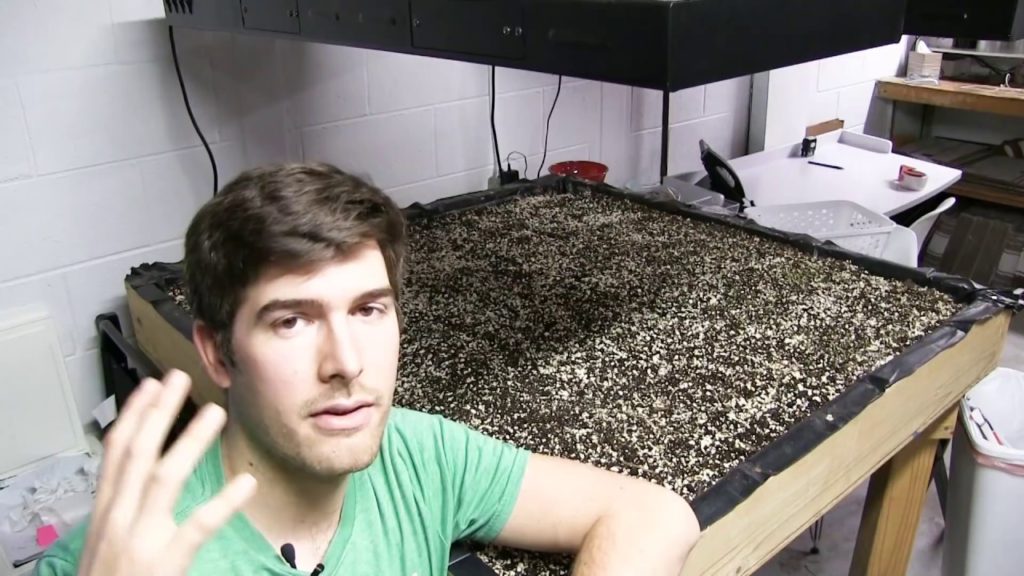 MIgardener: Common Reasons Your Seeds Are Not Germinating Common Reasons Your Seeds Are Not Germinating