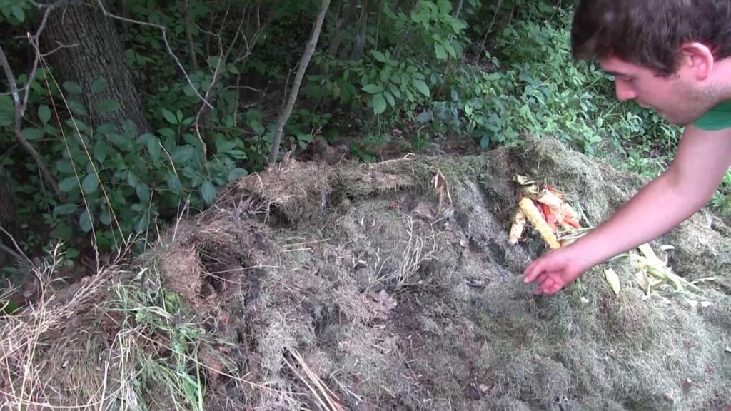 The Importance of Flipping Your Compost Pile